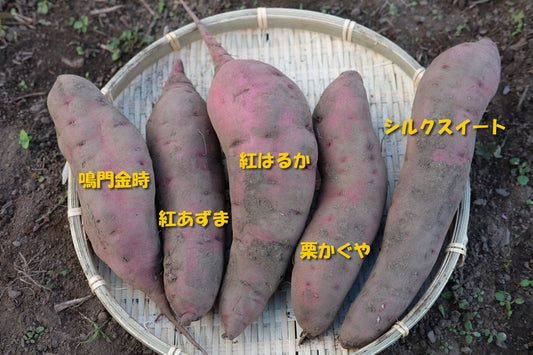 さつまいも食べ比べセット、予約販売スタート